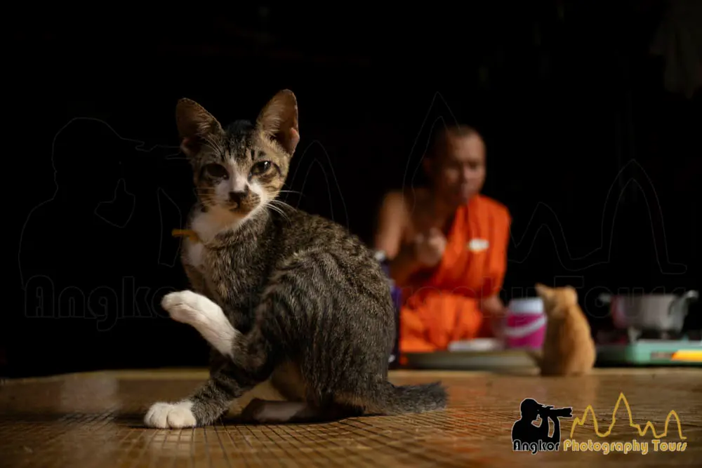street photography cambodia